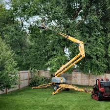 Best Hedge Trimming  in Islip Terrace, NY